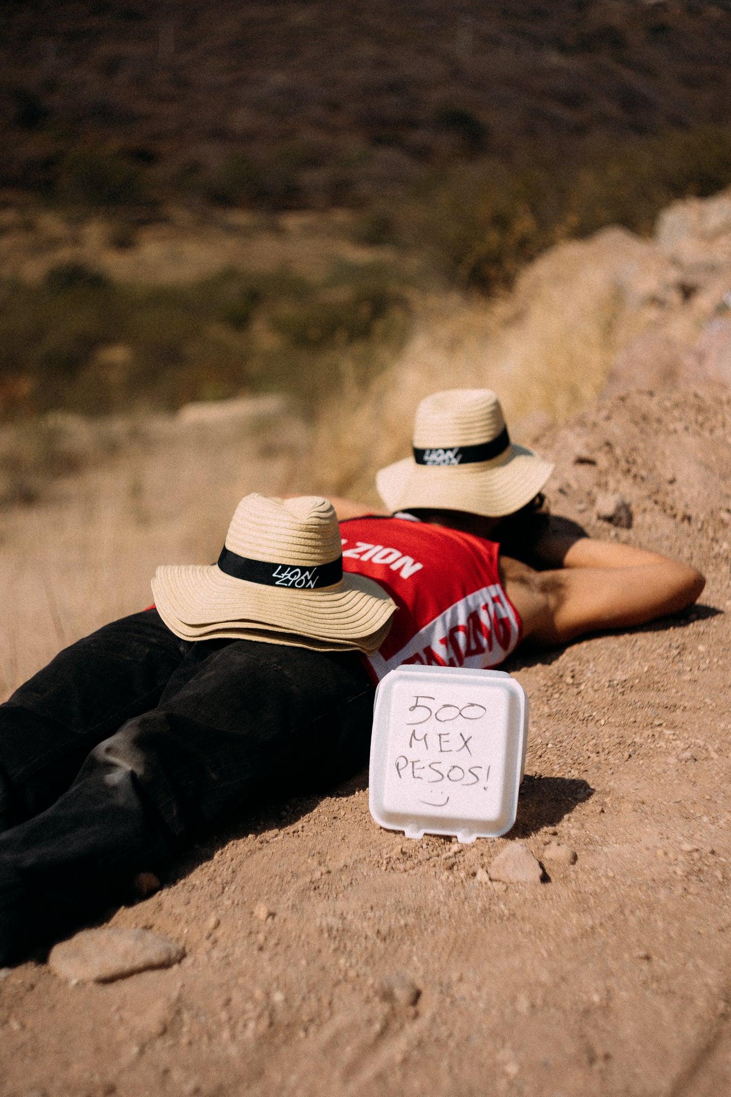 Chapeau Lion Zion