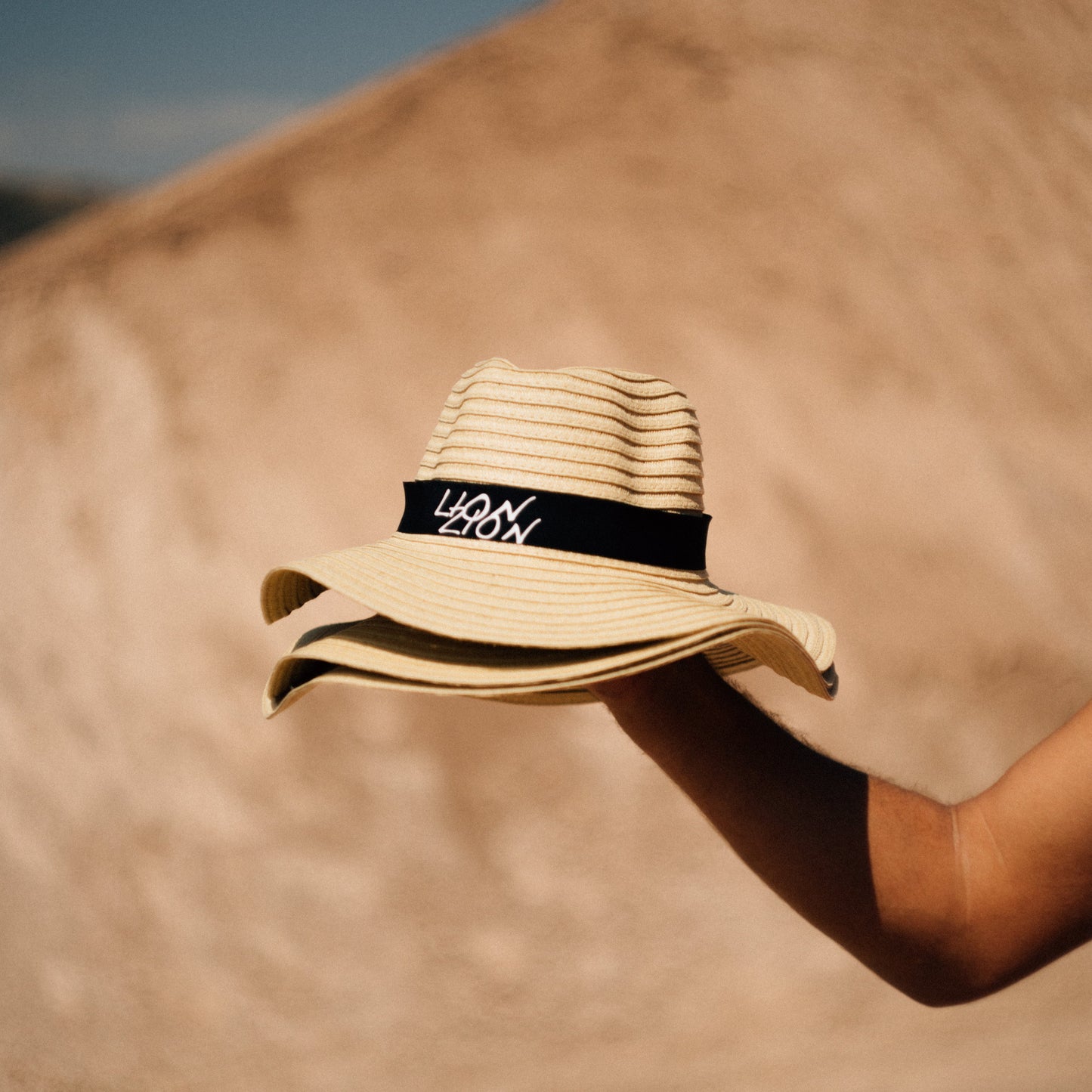 Chapeau Lion Zion