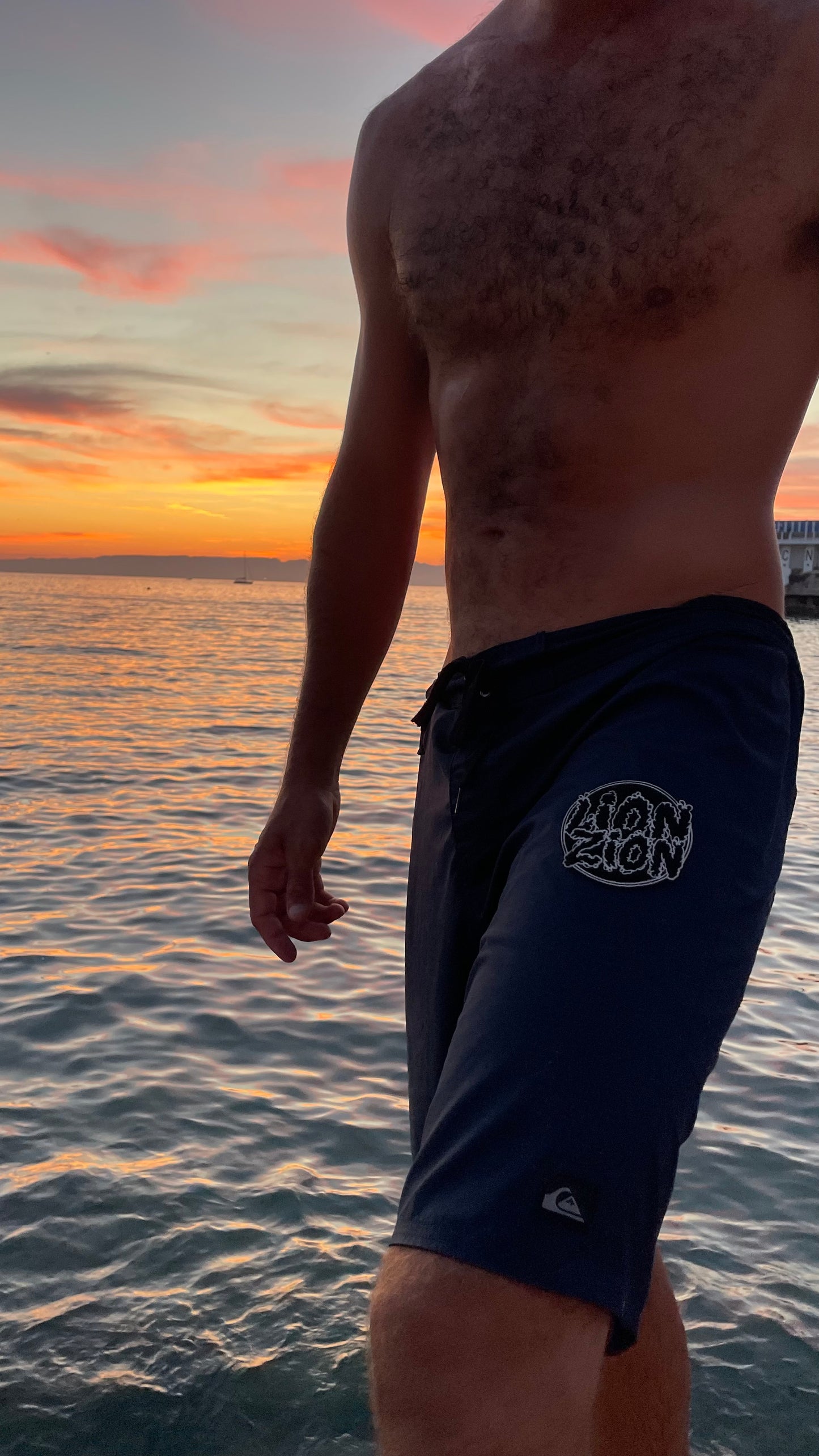 Écussons ronds Lionzionvibes