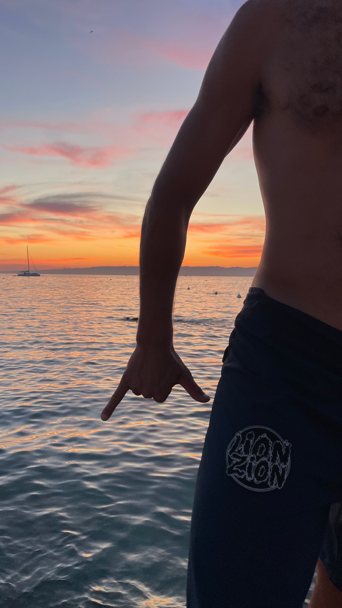 Écussons ronds Lionzionvibes